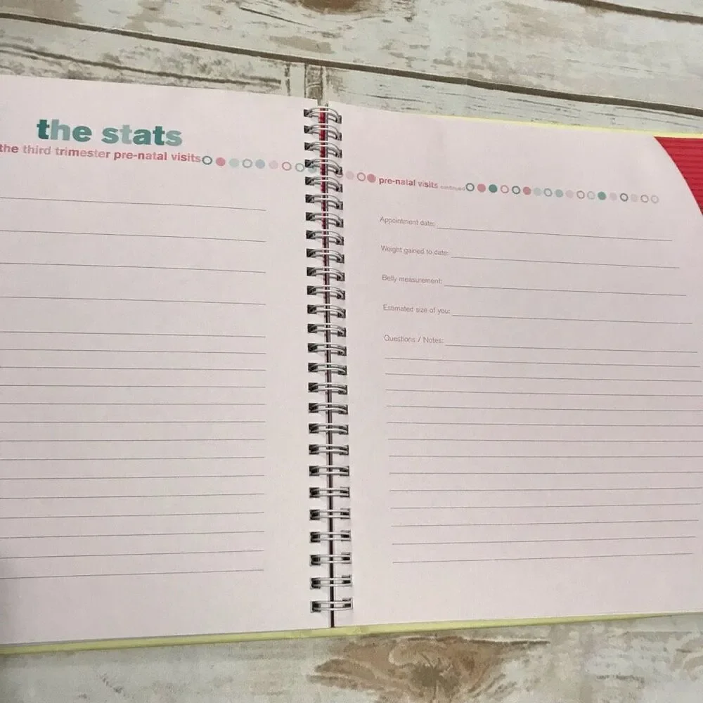 The Belly Book A Nine‎ Month Pregnancy Journal Scrapbook